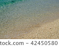 Transparent sea water and beautiful beach 42450580