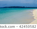 Beautiful sandy beach and beach · island 42450582