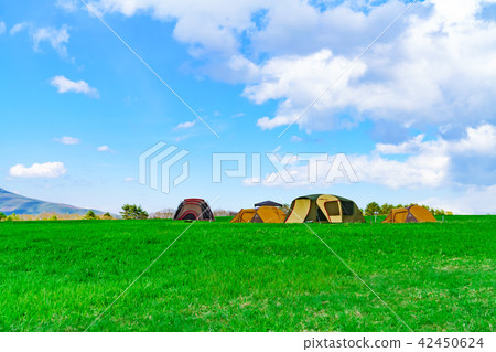 Landscape story 42450624