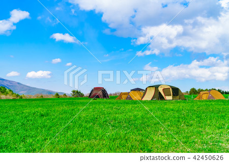 Landscape story 42450626