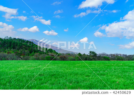 Landscape story 42450629