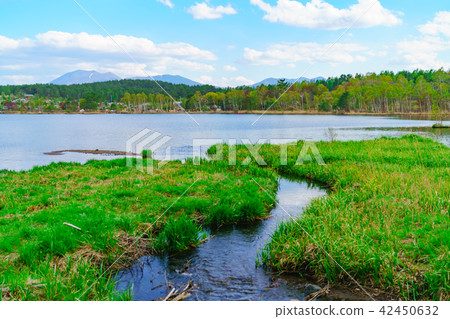 Landscape story 42450632