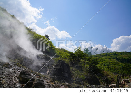 大分縣Kasumi溫泉溫泉 42451439