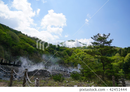 大分縣Kasumi溫泉溫泉 42451444