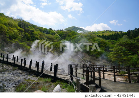 大分縣Kasumi溫泉溫泉 42451445