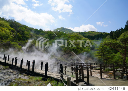 大分縣Kasumi溫泉溫泉 42451446