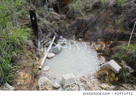 大分縣Kasumi溫泉溫泉 42451452