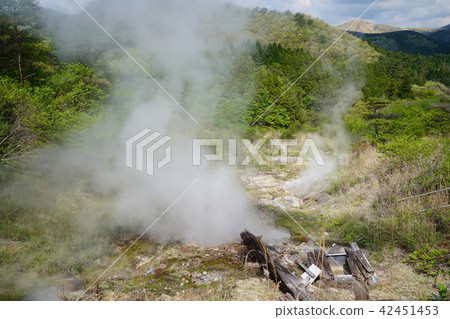 大分縣Kasumi溫泉溫泉 42451453