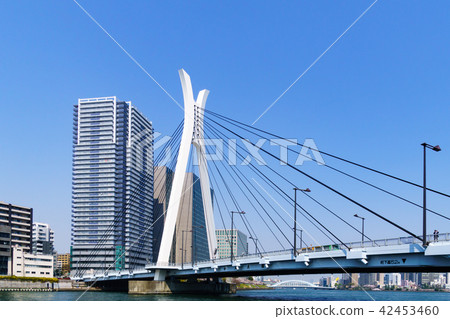 "Tokyo Metropolitan City" Urban Landscape - Sumidagawa Cruising 42453460