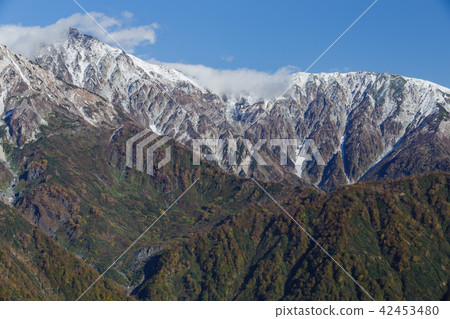 Hakuba Miyama，第一個擁擠的雪 42453480