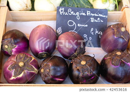 Aubergine Aubergine 42453616