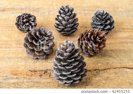 Brown pine and cedar cones on wooden background 42455255