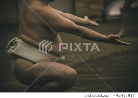 sumo, sumo wrestling, training 42455917