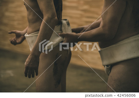 sumo wrestler's loincloth, tighten, sumo 42456006