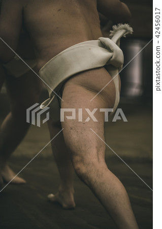 sumo, sumo wrestling, sumo wrestler's loincloth 42456017