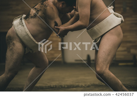 sumo, sumo wrestling, sumo wrestler's loincloth 42456037
