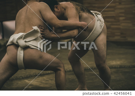 相撲 相撲選手的纏腰帶 研修 42456041