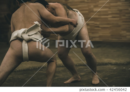 相撲 相撲選手的纏腰帶 研修 42456042