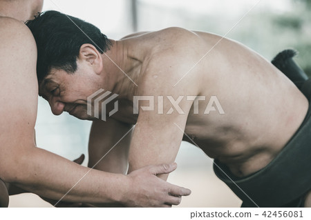 sumo, sumo wrestling, training 42456081