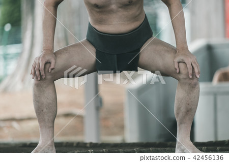 sumo, sumo wrestling, japanese culture 42456136