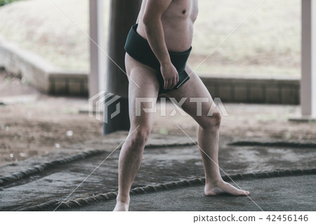 相撲 日本文化 男人 42456146