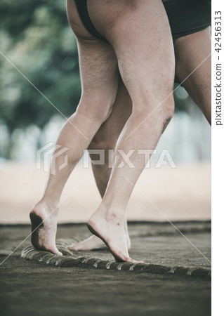 sumo, sumo wrestling, sumo wrestler's loincloth 42456313