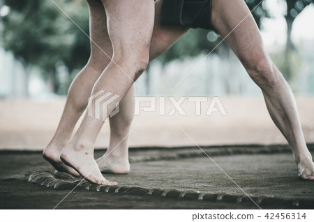 sumo, sumo wrestling, sumo wrestler's loincloth 42456314