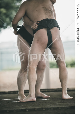 sumo, sumo wrestling, sumo wrestler's loincloth 42456320