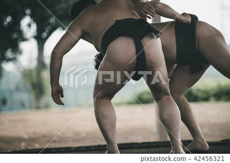 sumo, sumo wrestling, throw poor 42456321