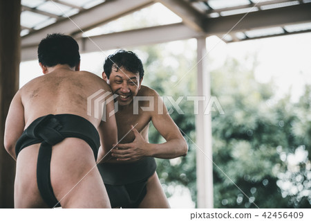 相撲 人 人物 42456409