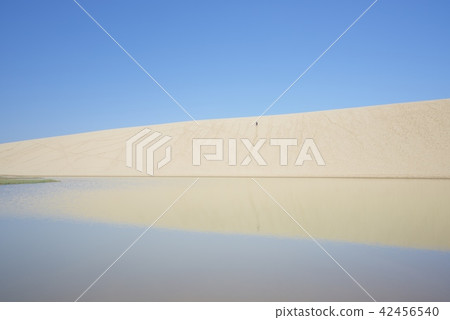 Oasis with Tottori sand dunes in the summer 42456540