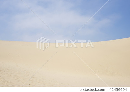 Tottori sand dunes in the summer Tottori sand dunes in the summer 42456694