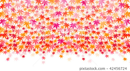 Autumn leaves autumn background Autumn leaves autumn background 42456724