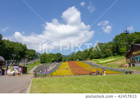 Tanbara薰衣草公園 Tanbara薰衣草公園 42457613