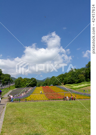 夏季玉原高原 夏季玉原高原 42457614