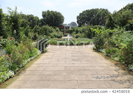 Hill park with a view of the harbor 42458058
