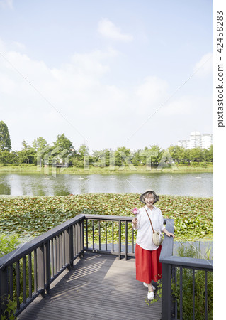 Life, woman, old man, Korean 42458283