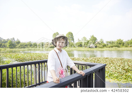 Life, woman, old man, Korean Life, woman, old man, Korean 42458302