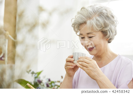 生活,女人,老頭,韓國人 生活,女人,老頭,韓國人 42458342