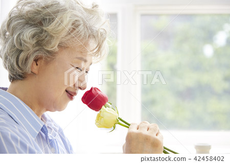 生活,女人,老頭,韓國人 生活,女人,老頭,韓國人 42458402