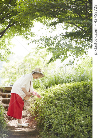 Life, woman, old man, Korean Life, woman, old man, Korean 42458728