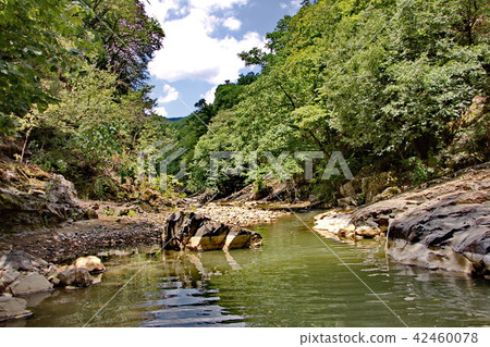 beautiful banks of the river Vilash 42460078