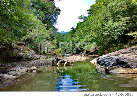 beautiful banks of the river Vilash 42460083