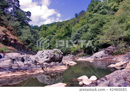 The Vilasha River with beautiful shores 42460085