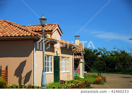 Prairie and tears 42460253