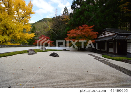The autumn of Ome shi Oitake Valley is the Tamado Museum of Art The autumn of Ome shi Oitake Valley is the Tamado Museum of Art 42460695