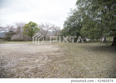 Inazaki Castle's main trace 42460874