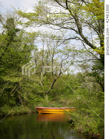 Lake 42461800
