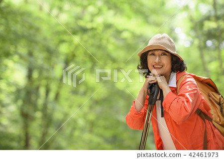 高級旅行 42461973