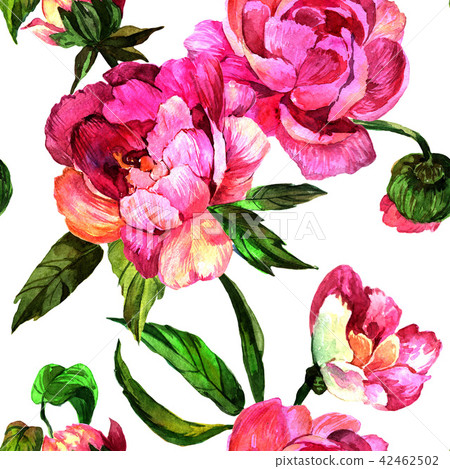 Watercolor pink peony flower. Floral botanical flower. Seamless background pattern. Watercolor pink peony flower. Floral botanical flower. Seamless background pattern. 42462502